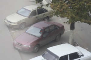 что в том числе видно из нашего окна
