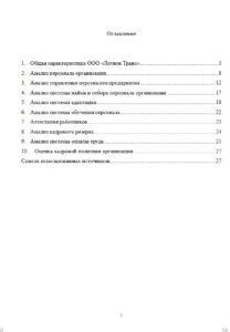 Фрагмент из отчета по практике на заказ